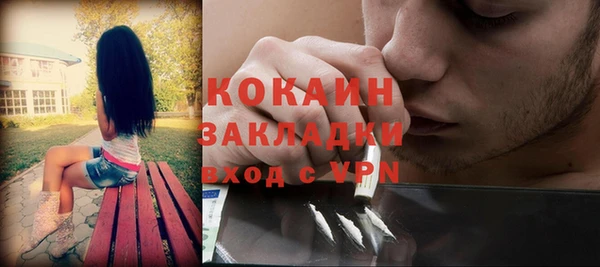 стаф Арсеньев