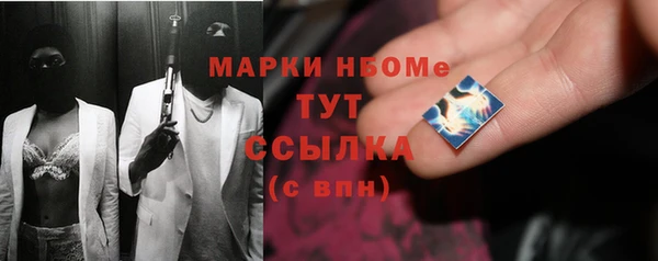 СК Алексин