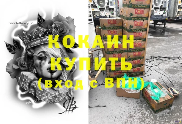 стаф Арсеньев