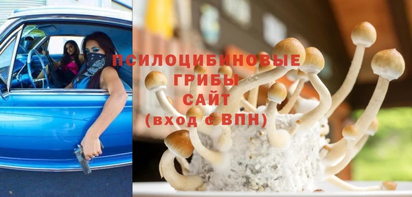 бутират Алексеевка