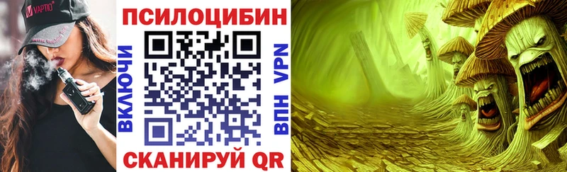 ссылка на мегу как войти  Ленинск  Псилоцибиновые грибы Psilocybe  закладки 